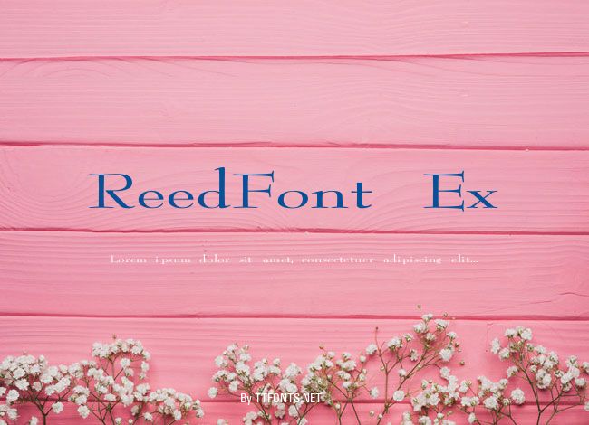 ReedFont Ex example